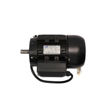 Single-speed electric motor V124 MOTOR (220V, 50Hz, 1P, 1.2Kw)