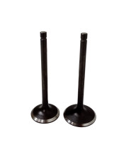 Клапаны (пара) LC1P96F/500550064-0001