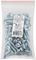 A semi-cylindrical screw. a head with a full thread of pins. DIN 7985 6x30 (packing 100 pcs)