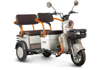 Electric tricycle Rutrike Gelbert Beta 48V/60V 800W, beige