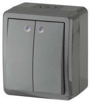 Выключатель ЭРА Эксперт 11-1405-03 двойной с подсветкой IP54 10АХ-250В ОУ серый