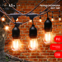 ERA ERABL-FIL1 LED Christmas String Outdoor Hanging 4.5m Warm White 10 LED