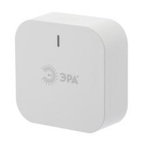 Центр управления устройствами ЭРА DI-101 для дома SMART Zigbee
