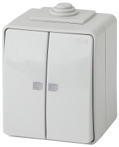 Выключатель ЭРА Эксперт 11-1605-03 двойной с подсветкой IP65 10АХ-250В ОУ серый