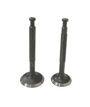 Клапаны (пара) LC152F/500550026-0001