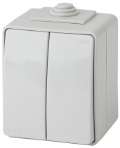 Выключатель ЭРА Эксперт 11-1604-03 двойной IP65 10АХ-250В ОУ серый