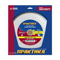 Diamond disc non-segmented PRACTICE "Expert-porcelain stoneware" 200 x 25.4/22 mm (034-304)