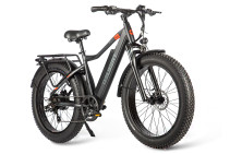 Gelbert Pegas 1 PRO electric bike, beige