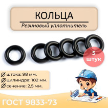 Sealing ring 098-102-25, 5 pieces. GOST 9833-73.