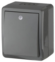 Выключатель ЭРА Эксперт 11-1402-03 с подсветкой IP54 10АХ-250В ОУ серый