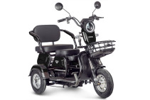 Electric tricycle Rutrike Gelbert Caf 48V/60V 600W, black