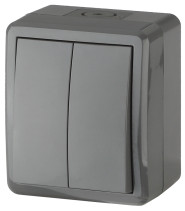 Выключатель ЭРА Эксперт 11-1404-03 двойной IP54 10АХ-250В ОУ серый
