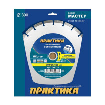 Diamond segment disc PRACTICE "Master" 300 x 25.4/20 mm (794-777)