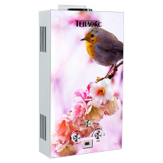 GPVS-10 (GPVS-10-PT1), Gas flow water heater TEPLOX, 20 kW, flow rate 10 l/min, with glass PS-Bird 1