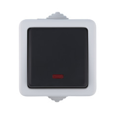 EF600SW Single-key switch with 2 seats with indicator (circuit 6L), 16 A (grey), AQUA