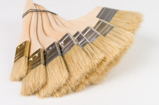 Flute bristle brushes (CF) 60*10