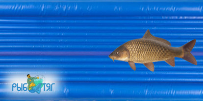 Трап-мост Рыботяг