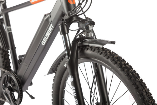 Gelbert Ran Star 2 PRO electric bike, green