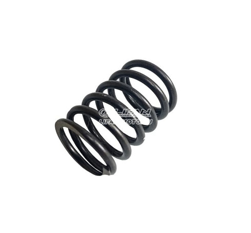 Valve spring LIFAN 14414/173F-192F-2, KP460 (192F-2T)