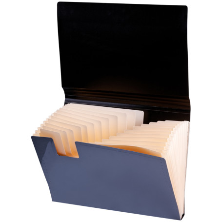 Folder of 13 Berlingo "Skyline" compartments, A4, 700 microns, with elastic band, assorted