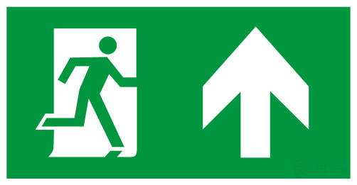 Пиктограмма ЭРА INFO-SSA-127 бэклит 259x128мм Человек-стрелка-вверх зеленая SSA-103