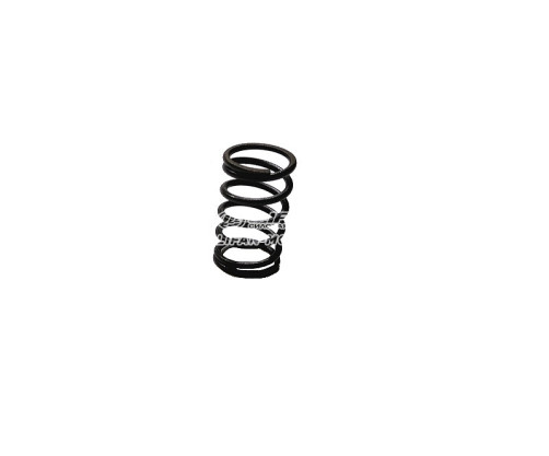 Valve spring 14414/154F