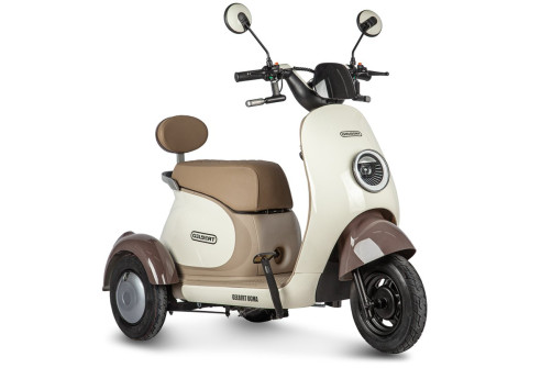 Electric tricycle Rutrike Gelbert Ogma 48V/60V 650W, white