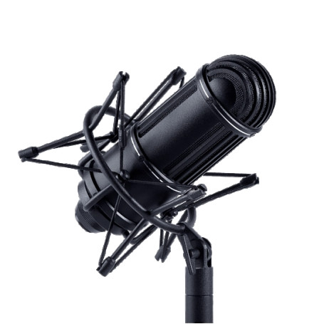 Микрофон Октава МЛ-52-02 Ленточный, черный