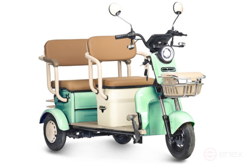 Electric tricycle Rutrike Gelbert Atlas 48V/60V 600W, green