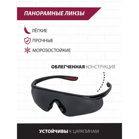 Pioneer SG-02 Safety glasses