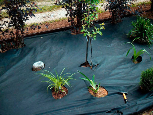 Geotextile construction and garden Geoplastboard 150 g/m2 1.6 x 25 m 40m2 from weeds, for paths, covering black
