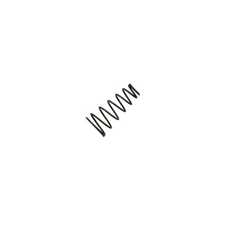 Valve spring (Air inlet spring ) RT-5565 item 34