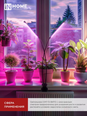 Светильник настольный на прищепке светодиодный СНП-Т2-ФИТО 2П20 красно-синий 20Вт 2 плафона, пульт на шнуре IN HOME