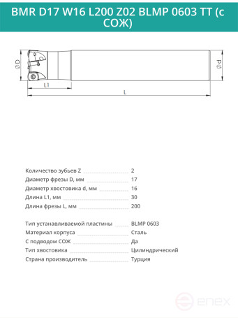 Концевая фреза корпусная 17 мм, 2 зуба, L 200 мм / BMR D17 W16 L200 Z02 BLMP 0603 TT (с СОЖ)