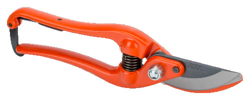 Pruner for pruning and forming vines and crowns of fruit trees P3-23-F