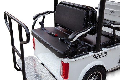 Mini golf cart Gelbert Fact 60V 1200W, blue