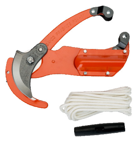 Pruner for upper branches P34-37