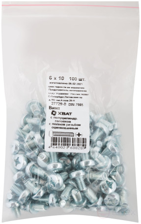 A semi-cylindrical screw. a head with a full thread of pins. DIN 7985 6x10 (packing 100 pcs)