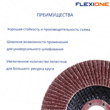 Flat petal circle 125x22mm P60 Flexione Expert, 10 pcs.