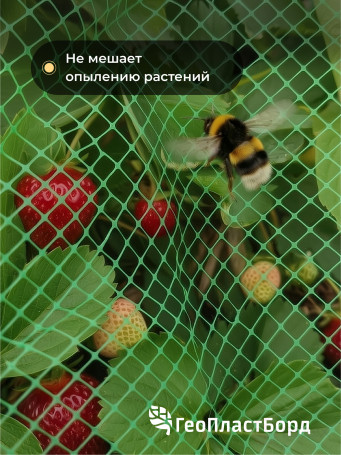 Garden netting to protect plants and crops from birds Geoplastboard 2x10 m color green