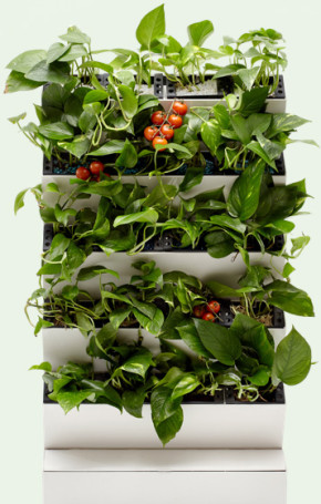 Autonomous vertical gardening system GWA-20Wi-Fi (Phytostena)