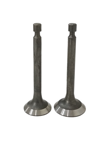 Клапаны (пара) G270F/500550031-0001