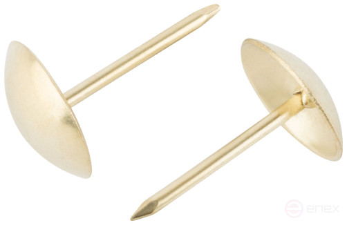 Latuned furniture nails 10.5 mm, large head (packing 25 pcs)