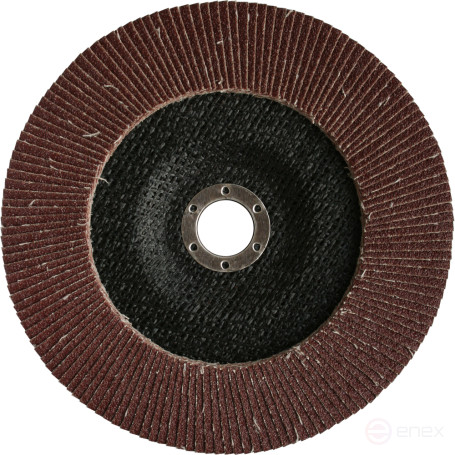 PRAKTIKA petal grinding wheel 180 x 22 mm P60 (1 pc.) Profi series (032-409)