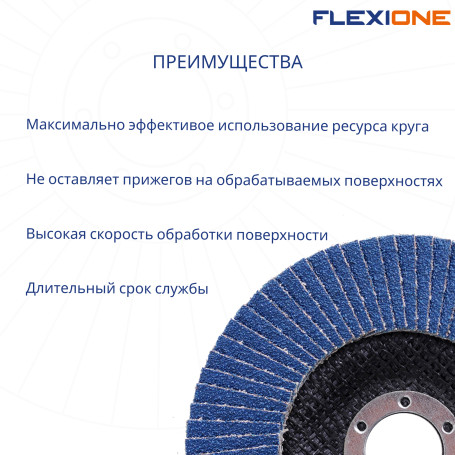 Круг лепестковый плоский 125х22мм Р120-Zr Flexione Pro