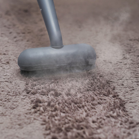 Пароочиститель BORT BDR-3000-RR