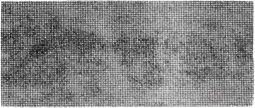 Шлифовальная сетка, 10 листов, зернистость 80, карбид кремния, 115 x 280 мм