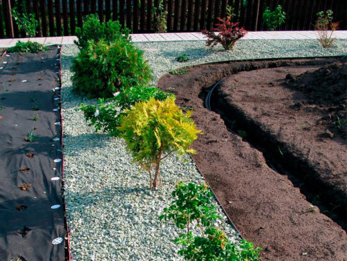 Geotextile construction and garden Geoplastboard 150 g/m2 1.6 x 25 m 40m2 from weeds, for paths, covering black