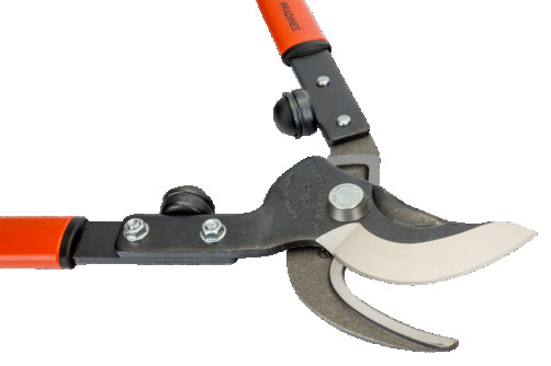 Bypass knot cutter P16-50-F
