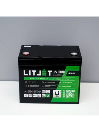 LiFePO4 Traction Battery 12V 100Ah 1280Wh for UPS